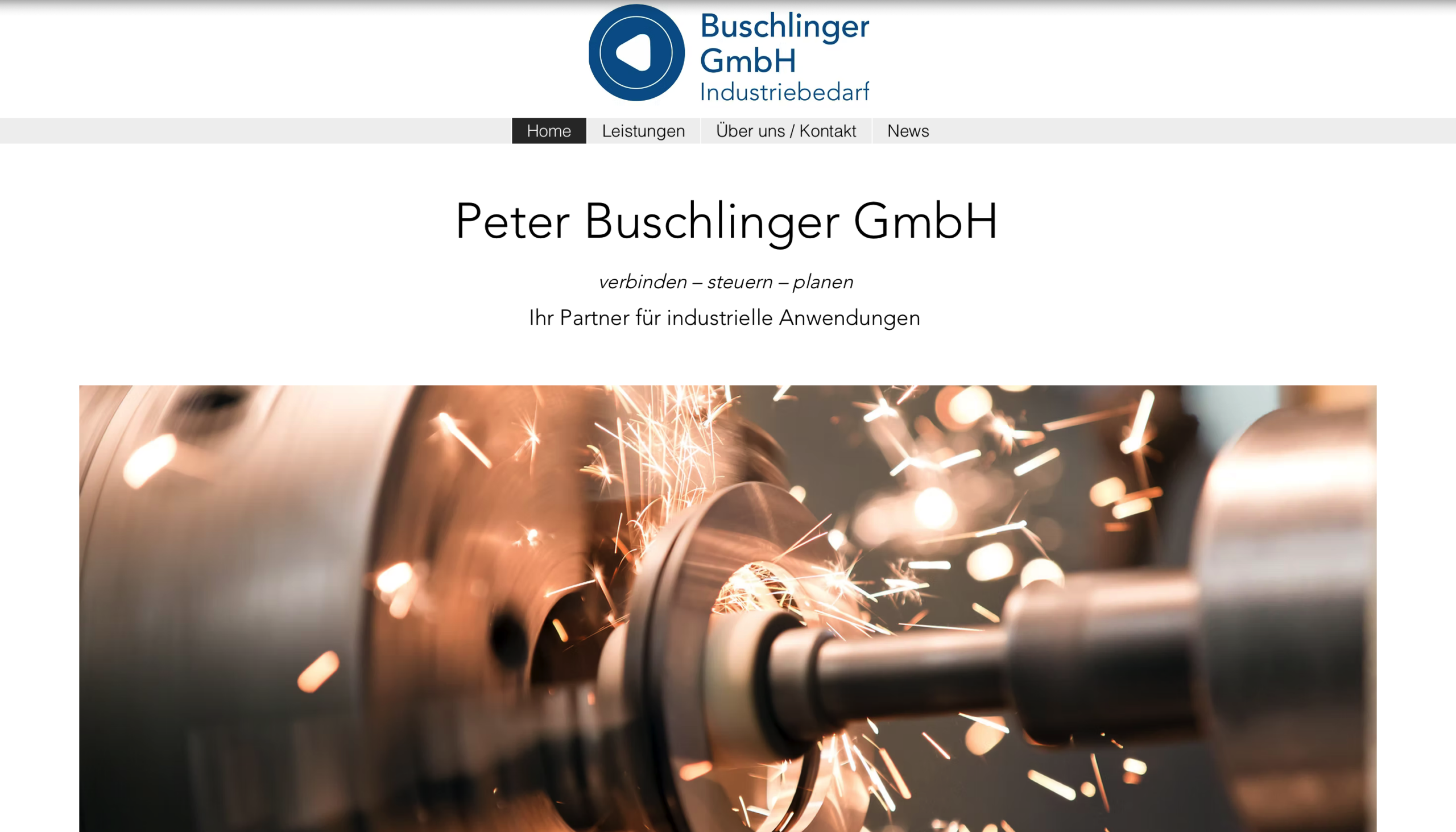 Originale Website-Vorschau der Referenz Buschlinger